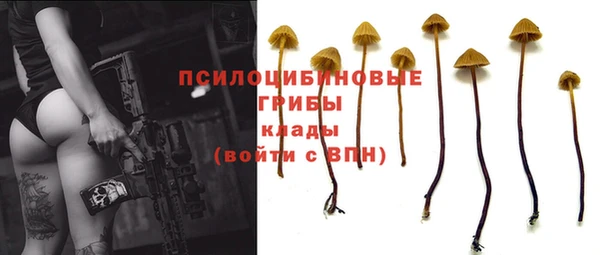 кокаин премиум Приозерск