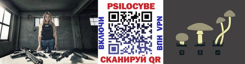 Купить закладки  Чадан  Псилоцибиновые грибы мицелий